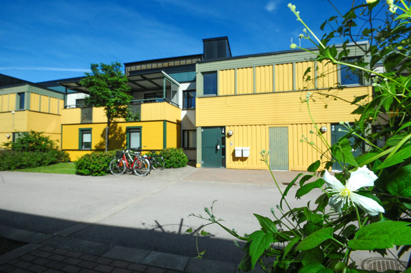 Två bröders väg 1 E, Norrliden