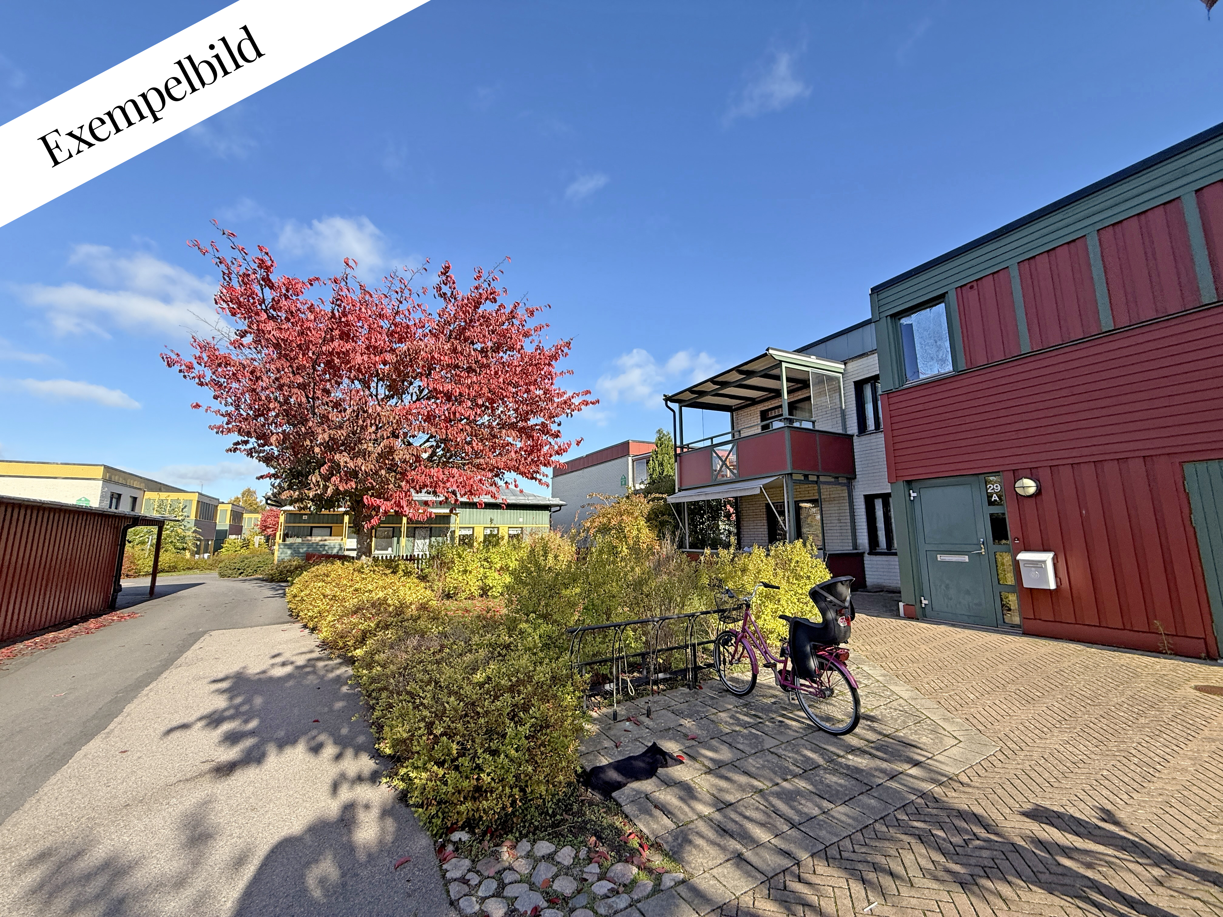 Två bröders väg 29 C, Norrliden