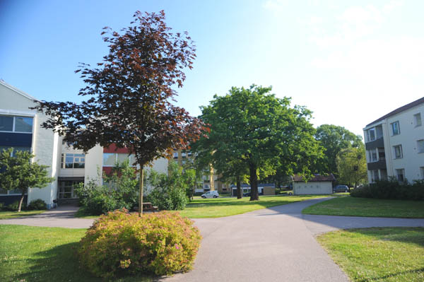 Daléngatan 14, Oxhagen